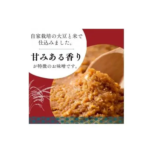 手作りおしゃべり味噌 約900g×2袋