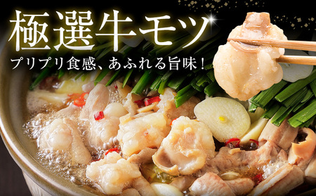 もつ鍋 博多牛もつ鍋 お手軽セット もつ スープ のみ 醤油味 10人前《7-14日以内に出荷予定(土日祝除く)》もつ 牛もつ もつ鍋