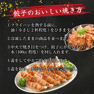 訳あり 餃子72個 冷凍 小分け 鶏肉餃子 IB