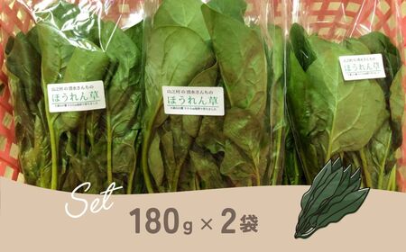 令和8年産 ほうれん草 180g×2袋 ほうれん草 ほうれんそう