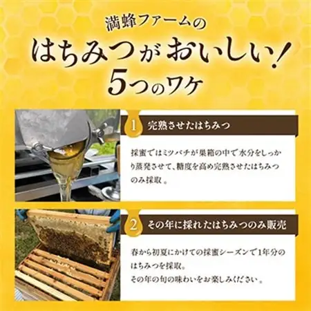 浜名湖ほとり 渚みかんはちみつ・みなと百花はちみつ 各460g・みなと百花はちみつ 300g　3本_調味料 はちみつ  ハチミツ 蜂蜜_【1390461】