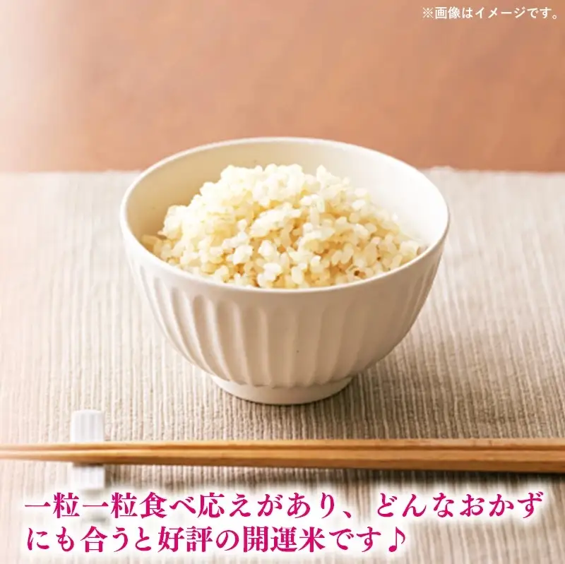令和7年産 開運米 コシヒカリ 【玄米】（減農薬）幸手産 - 5kg×2袋 10kg こしひかり 福祉 応援 安心 安全 埼玉県 幸手市 幸手市産