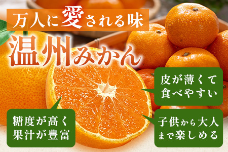 佐賀県産 温州みかん（2L～3L混載）大玉みかん サイズ指定不可【2026年11月下旬～1月上旬頃発送予定】｜果物 フルーツ 温州みかん 大玉 柑橘 国産 九州産 人気 甘い 佐賀産 鹿島産 B-802