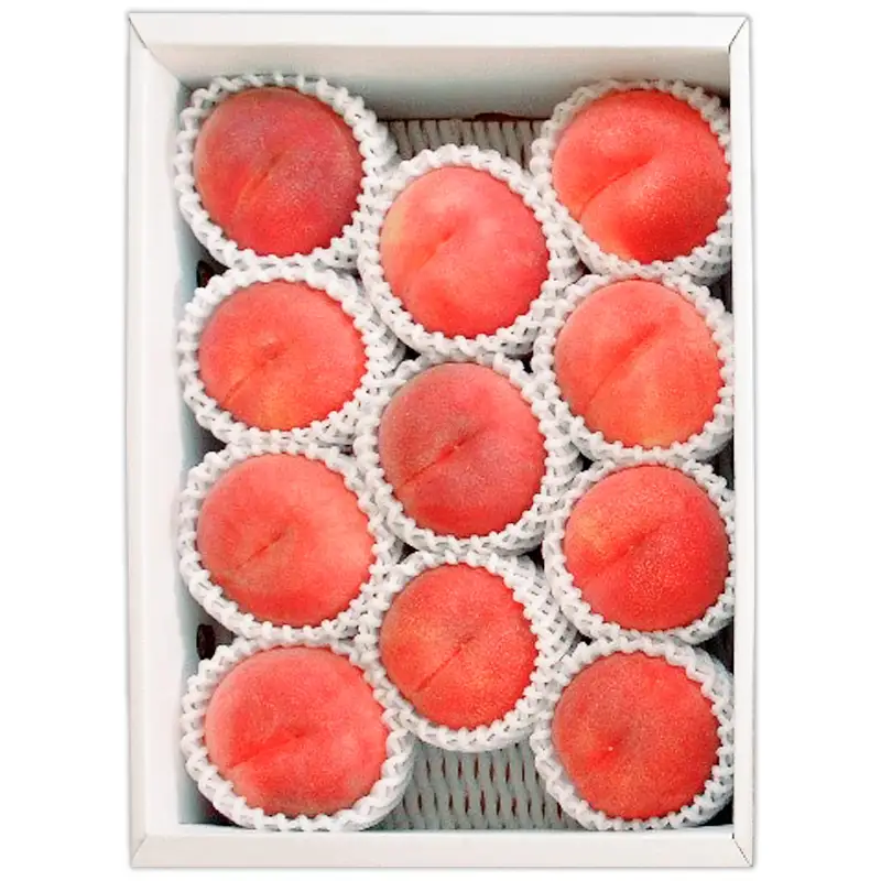 山形産 白桃 [柔らかくなる桃] 3kg(8～14玉) 秀品 品種おまかせ 【令和8年産先行予約】FS25-604 くだもの 果物 フルーツ 山形 山形県 山形市 2026年産