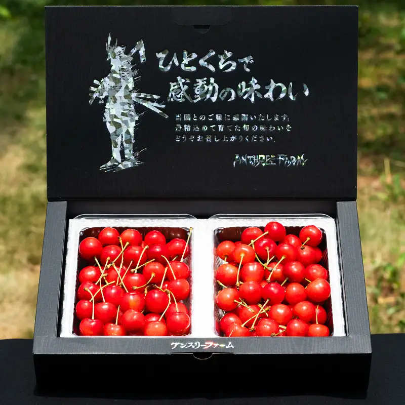 2027年産 さくらんぼ 「紅秀峰」 600g 特秀品 Lサイズ以上 山形産 【令和9年産先行予約】FS24-745