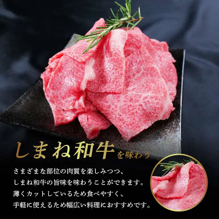 しまね和牛 カレー、シチュー等に 小間切れ 500g 【黒毛和牛 おすすめ 小分け 冷凍 和牛オリンピック 肉質NO.1 牛肉 肉 国産 和牛 料理 炒め物 おかず お弁当 ブランド牛 島根県 安来市】【14-DC-67】