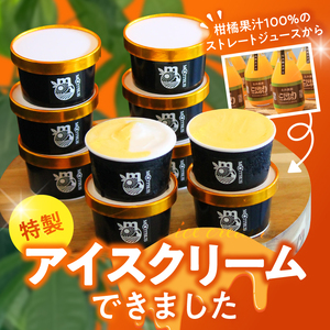 農家が作るこだわりnoみのりアイス_ZS6161