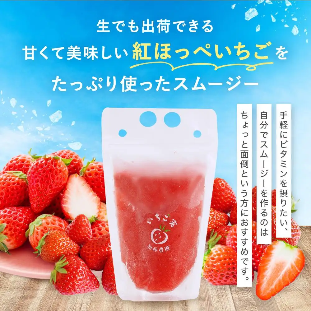 【冷凍】 いちごスムージー（紅ほっぺ）300g×6個  苺 フルーツ◇