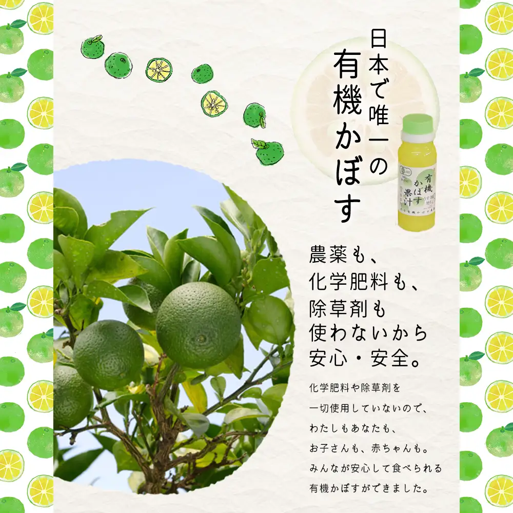 有機かぼす果汁100% 100ml×10本セット K10