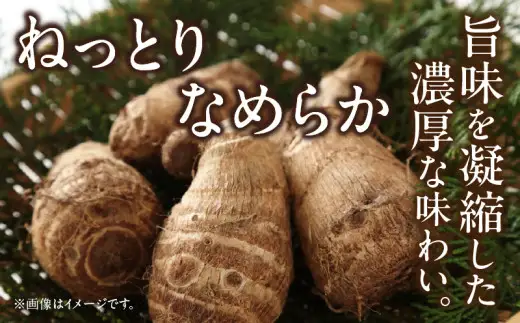 絶品里芋　～天晴れ～　4kg・S067-135