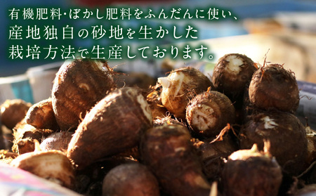 絶品里芋　～天晴れ～　6kg・S068-170