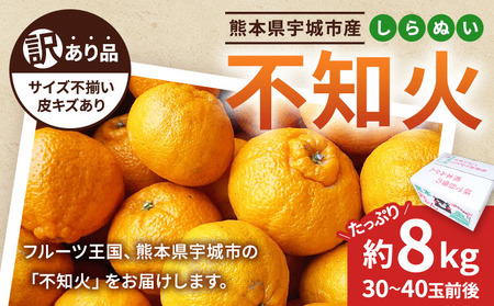 先行予約 訳あり 不知火 約8kg 【2027年2月下旬から4月上旬発送予定】