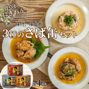 ＊さば缶セット(3種×各4缶)【B0-022】