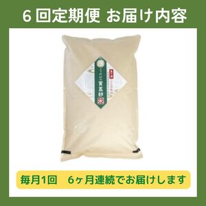 【定期便 ５㎏×6回】五ヶ瀬町産こしひかり　寅五郎米