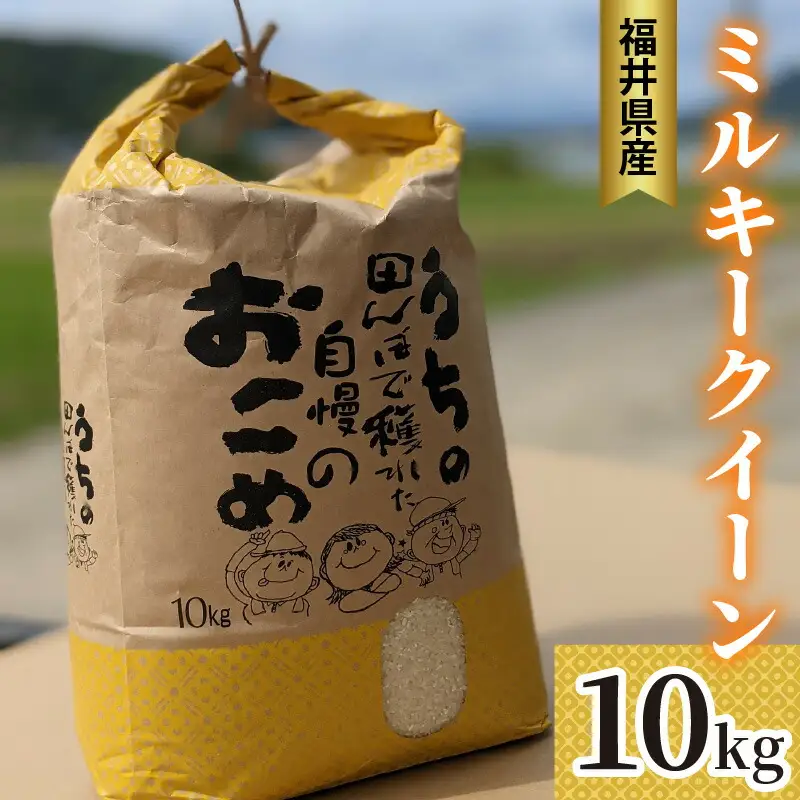 【先行予約/10月以降配送】【令和8年産】福井県産 ミルキークイーン 白米 10kg / 米 お米 おこめ 精米 ミルキークイーン 10キロ 小浜市 / Grow Farm [BFDI001] 