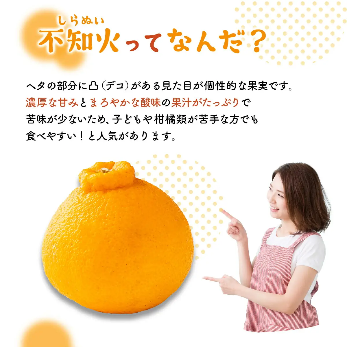 【 不知火 】訳あり 不知火 約 5kg dp005