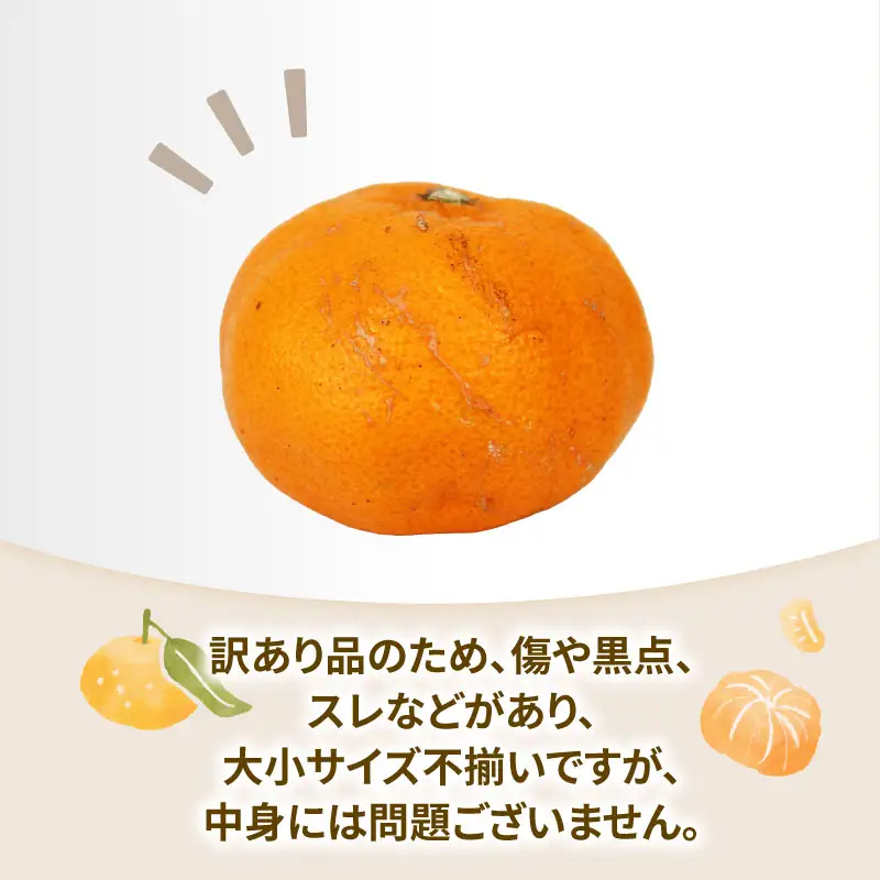 訳あり はれひめ 約6kg 協徳ガーデン 先行予約 予約受付 訳アリ わけあり 瀬戸の晴れ姫 晴姫 蜜柑 mikan 愛媛みかん 愛媛ミカン 愛媛蜜柑 果物 くだもの 柑橘 フルーツ 希少 品種 数量限定 産地直送 農家直送 国産 愛媛 宇和島 B010-178004