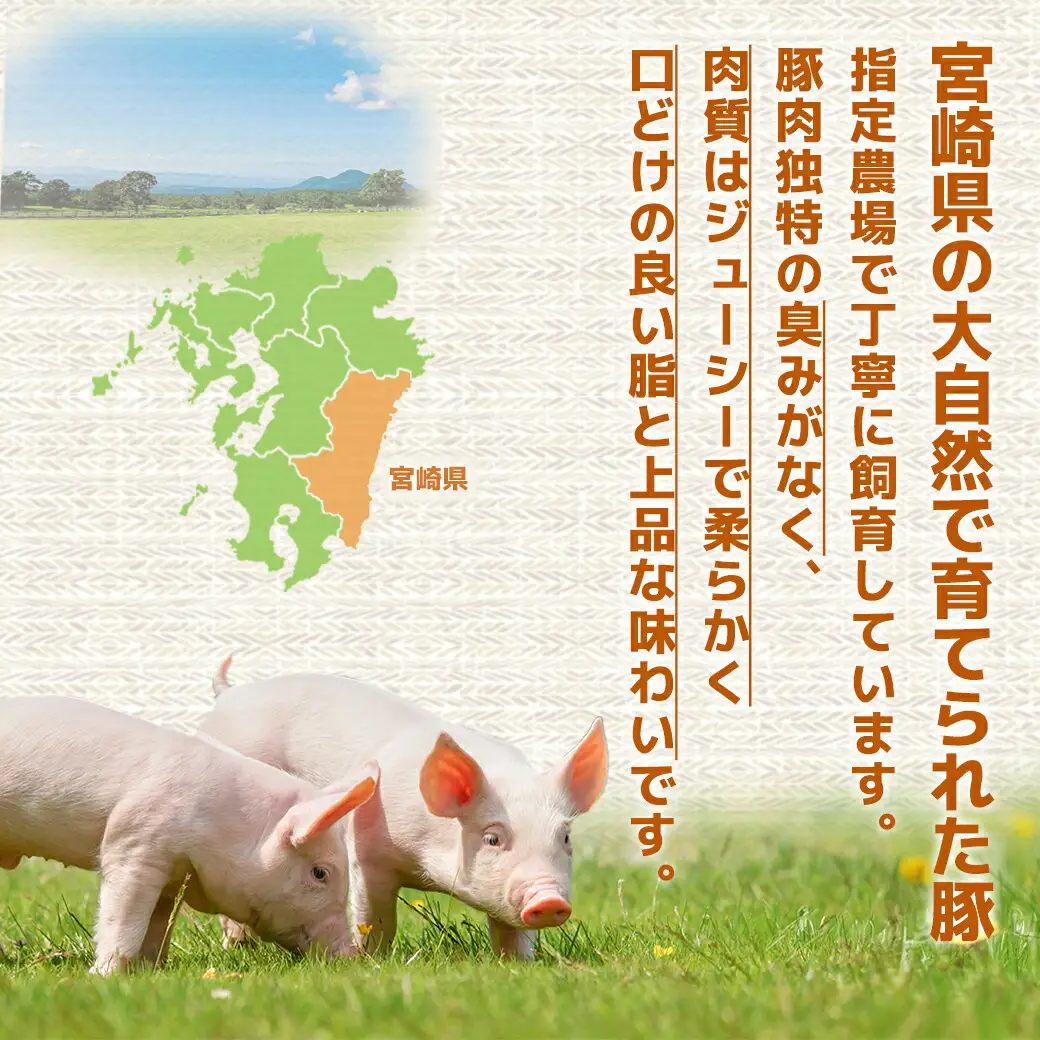 宮崎県産豚肉ロースカツ用30枚〔18-M601〕_(都城市) 宮崎県産豚肉 ロースカツ用 100g×30枚 とんかつ トンテキ ポークステーキ