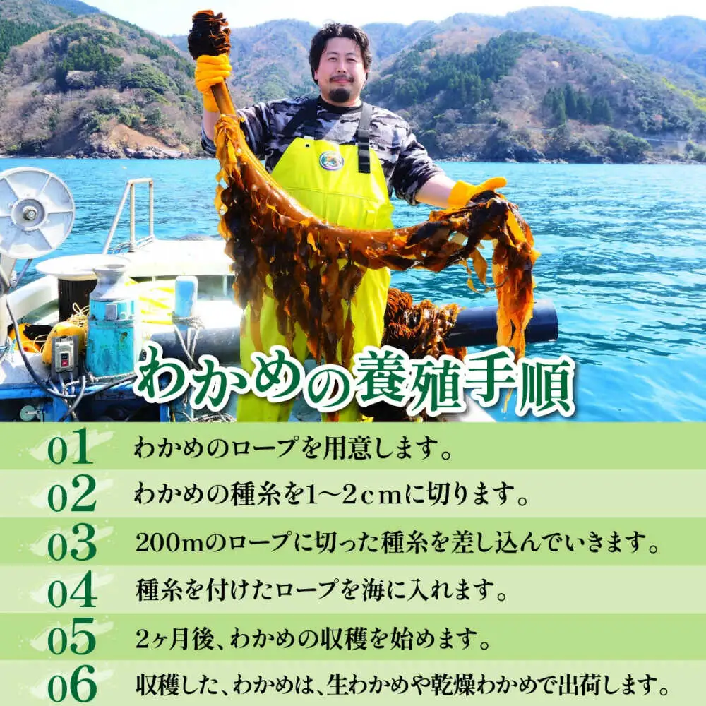【訳あり】【天然・養殖】漁師が育てた 乾燥わかめ 5袋 小浜市 / 釣り船・民宿かどの [BFBG006]