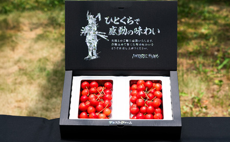  山形県産 さくらんぼ「佐藤錦」500g 特秀品 Lサイズ以上 【令和9年産先行予約】FS24-805