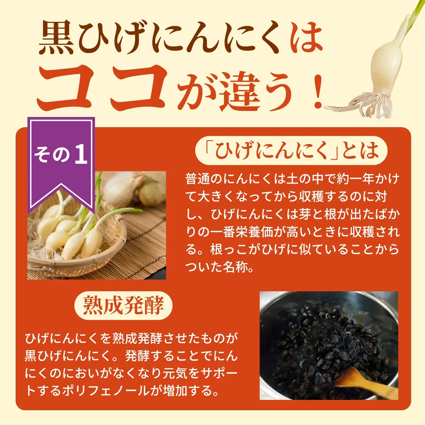 こつこつ真面目に作った すっぽん黒ひげにんにく玉 15袋セット：C104-006