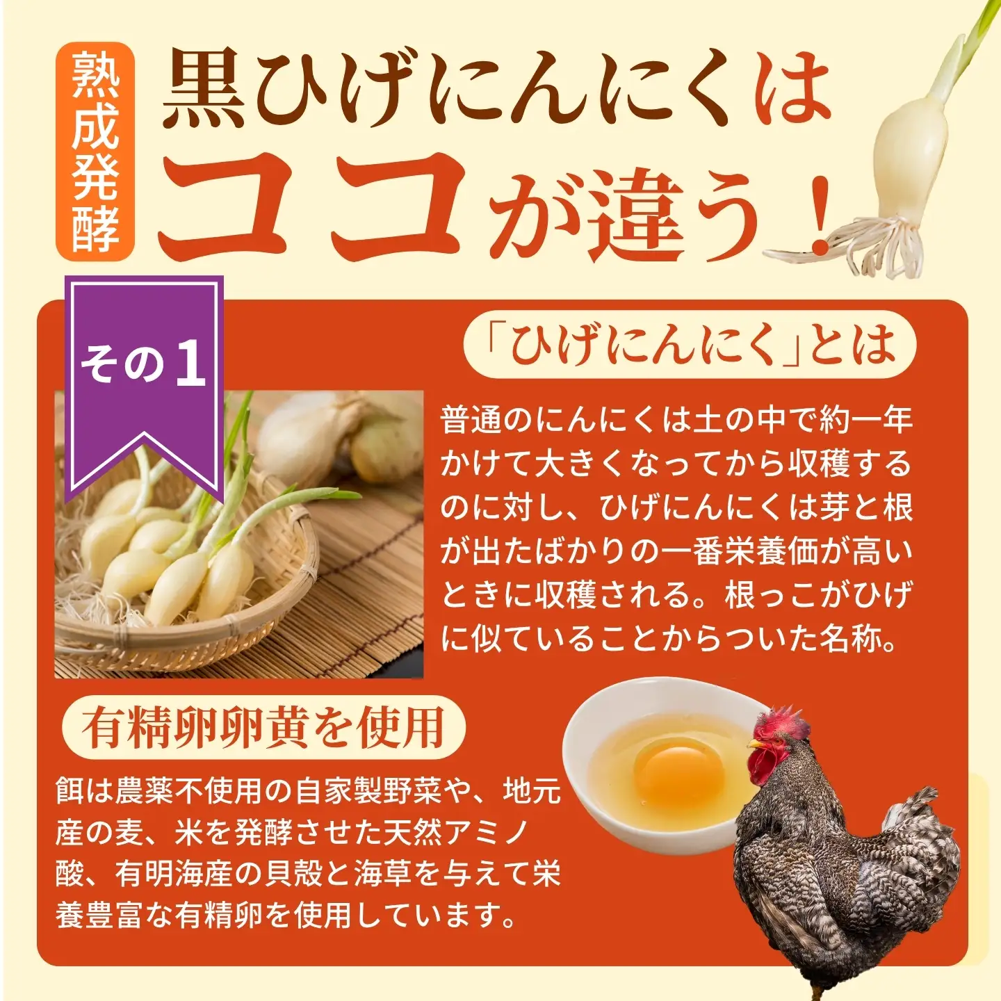 佐賀にしか無い手作り無添加の黒ひげにんにく玉 15袋セット：B845-003