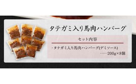 FNタテガミ入り 馬肉 ハンバーグ（デミソース）8個セット 馬肉 お肉 惣菜 ハンバーグ タテガミ コウネ ソース付 お取り寄せ 簡単調理