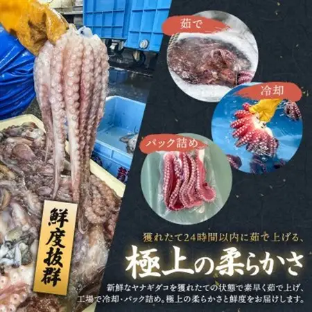 【毎月定期便】ヤナギダコ500g【産地直送】プリプリ食感 北海道 釧路町 昆布森産 多幸の旨味全3回_噛むたびに広がる多幸の旨味 お刺身 鍋 煮物に最適 栄養満点 贈答用 贈答品 にも最適 漁師直送 鮮度抜群 蛸 タコ たこ 足 刺身 たこやき たこ唐揚げ 定期便 冷凍 魚介類 海鮮 絶品 人気 カネショウ 北海道 釧路町 釧路超 特産品 _【配送不可地域：離島】【4058760】