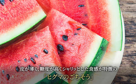 【2026年夏発送】富良野産 ヒグマのごちそう(すいか)[1玉 5L以上 9kg以上/玉] スイカ 果物