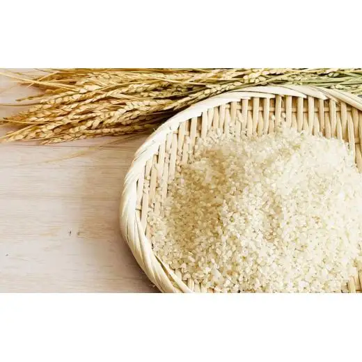 【定期便12回】黒米・塩米（コシヒカリ）約5kg
