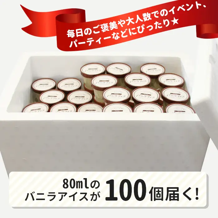 イベントやパーティにも◎生ソフトクリームアイス100個 80ml アイスクリーム ソフトクリーム スイーツ アイス デザート 根羽村 ネバーランド 60000円