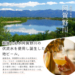ビール スワンレイクビール 金賞受賞入り ゴールデンスワンレイクエール2本セット 阿賀野市 新潟県 阿賀野 クラフト クラフトビール 地ビール ビール お酒 酒 ギフト プレゼント 贈答 贈り物 お中元 お歳暮 のし対応 熨斗 父の日 1S45006
