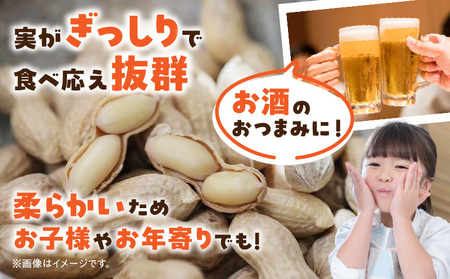 《2027年7月～発送》塩茹で専用！生落花生『300g×6パック』・S063-145
