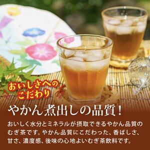 【定期便3か月】健康ミネラルむぎ茶PET1L×12本 伊藤園