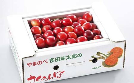 《先行予約》2027年 山形県産 紅さやか バラ詰め(パック）500g M～L やまのべ多田耕太郎のさくらんぼ サクランボ フルーツ 果物 くだもの F4A-0481