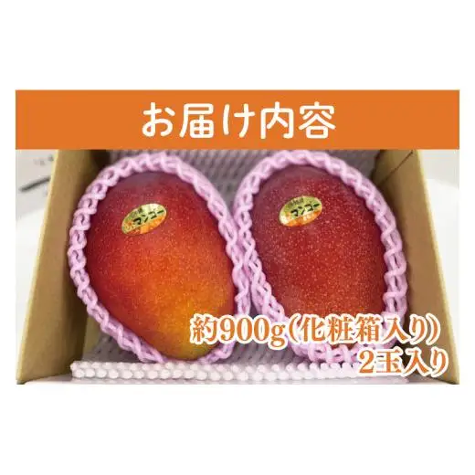 【先行受付】【2027年発送】豊見城産プレミアムマンゴー約900g（化粧）糖度15度保障 AE026