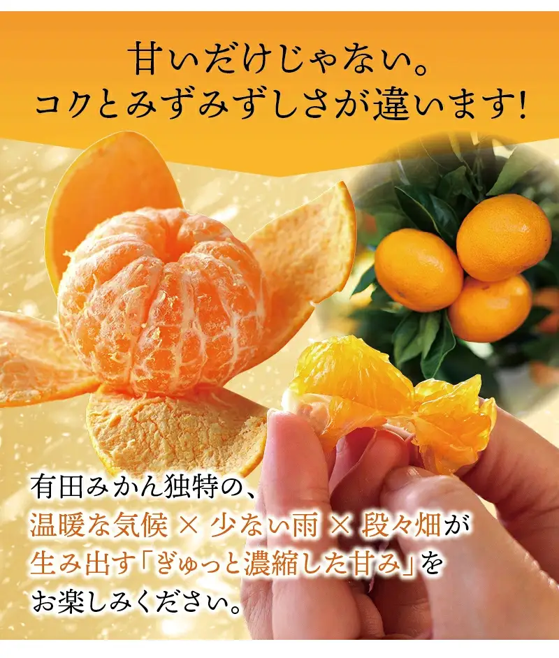 【訳あり】有田みかん 2kg 光センサー選別 みかん【nuk004-c-2-decH】