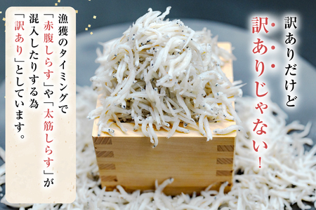 しらす 訳あり お船出 釜揚げしらす 250g 2p 計 500g