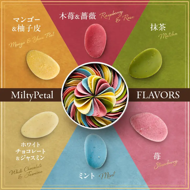 【定期便5回 毎月お届け】【花びらのようなチョコレート ミルティペタル】6つのフレーバーをお楽しみください＜福岡市＞ チョコレート
