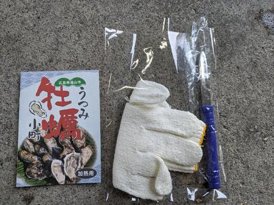 【びんご圏域連携】 【全3回定期便 先行予約】 地元を味わう名産便（吉名じゃがいも・うつみ牡蠣小町・ジビエ） 広島県福山市/一般社団法人世羅町観光協会 肉 猪 海産物 牡蠣 野菜 じゃがいも 定期便 [BABM002]