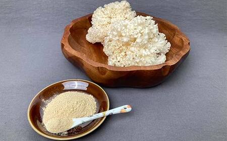いにしえの輝き花びらたけ 粉末 100g きのこ 花びらたけ 料理 F23R-879