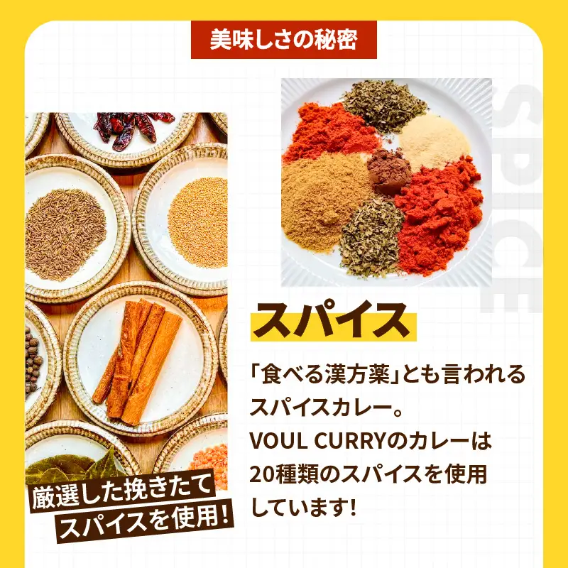 冷凍 VOUL チキンカレー 6食 セット K315-002 肉 鶏肉 惣菜 総菜