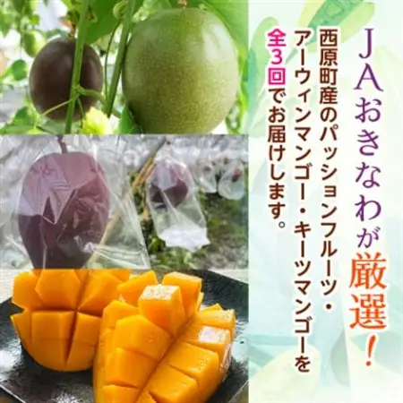 【発送月固定定期便】沖縄の豊かな自然で育ったフルーツ定期便全3回【配送不可地域：離島】【4058900】