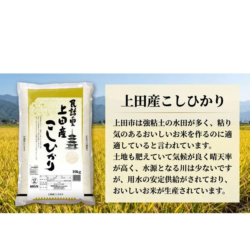 米 コシヒカリ 20kg (10kg×2袋) お米 白米 精米 単一原料米 ブランド米 銘柄米 20キロ 令和7年産 長野県産 長野 長野県 上田市