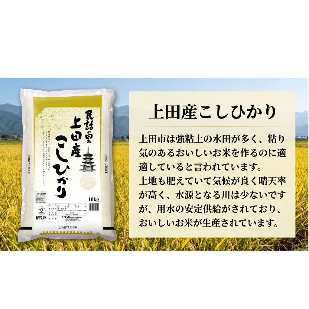 米 コシヒカリ 30kg (10kg×3袋) お米 白米 精米 単一原料米 ブランド米 銘柄米 30キロ 令和7年産 長野県産 長野 長野県 上田市