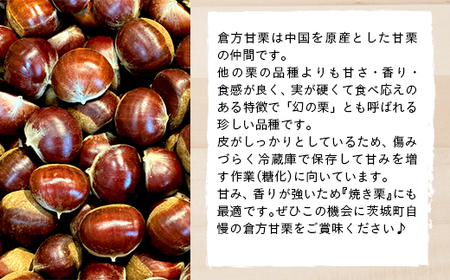 538 倉方甘栗 1.5kg 栗 甘栗 希少品種 数量限定 くり 茨城県産