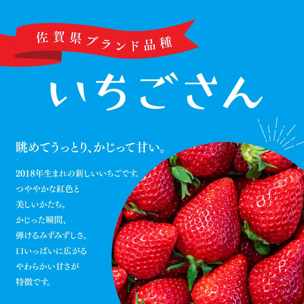 【先行受付 令和9年1月下旬より発送】特選いちご(いちごさん) 250g×4パック(H101107)