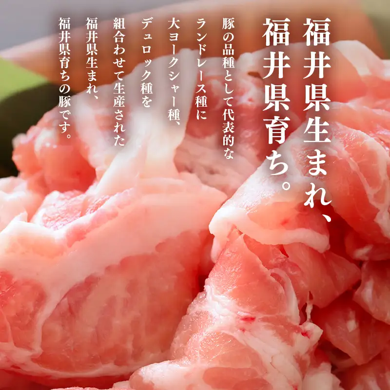 【ブランド豚】 ふくいポーク 切り落とし 500g  冷凍 国産豚肉 [e02-a030]