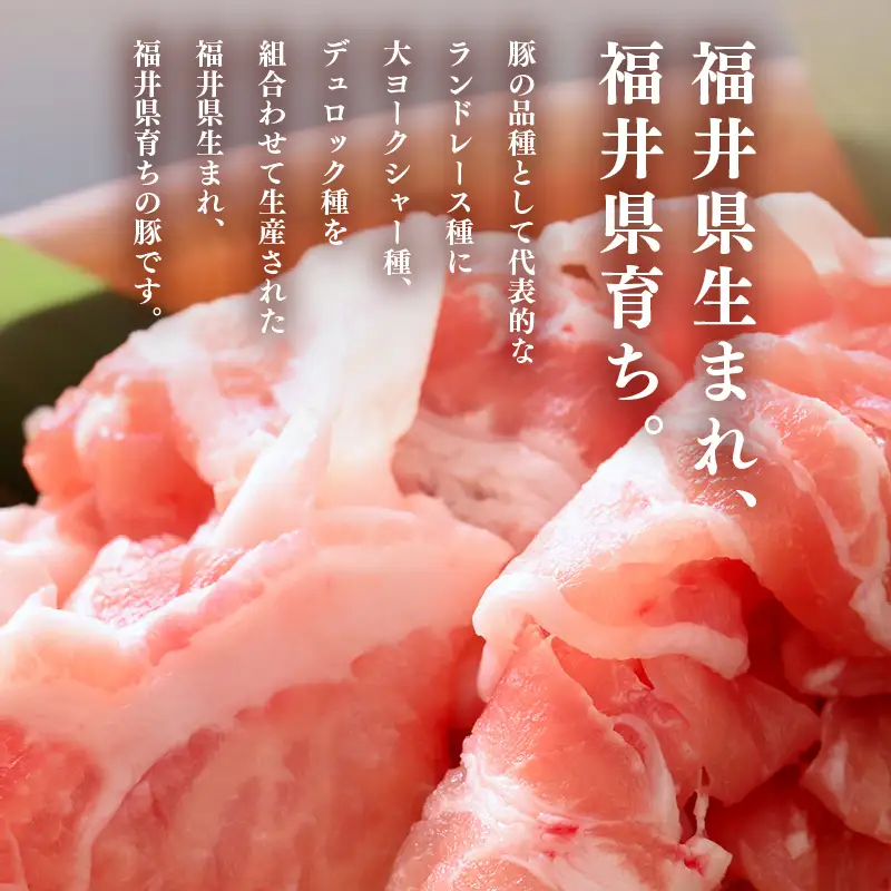 【ブランド豚】ふくいポーク 切り落とし 1kg 国産豚肉 冷凍 [e02-a031]
