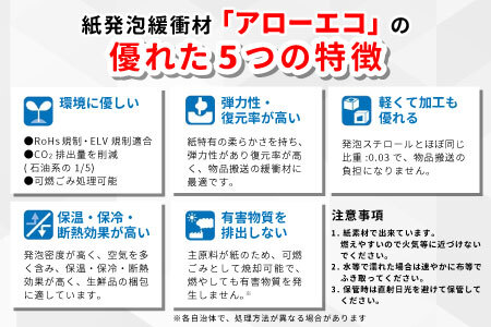 アローエコマット1 防災用品 防寒グッズ 断熱シート 使い捨て 防災 防災マット 防災グッズ 寒さ対策 一時避難 クッション 避難生活 アウトドア キャンプ 車中泊 マットレス ベッド 車中泊マット キャンプマット 極厚 キャンピングマット コンパクト